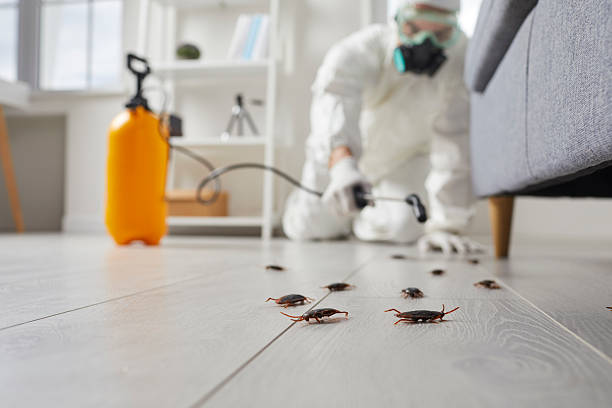Commercial Kitchen Cockroach Control in Andale